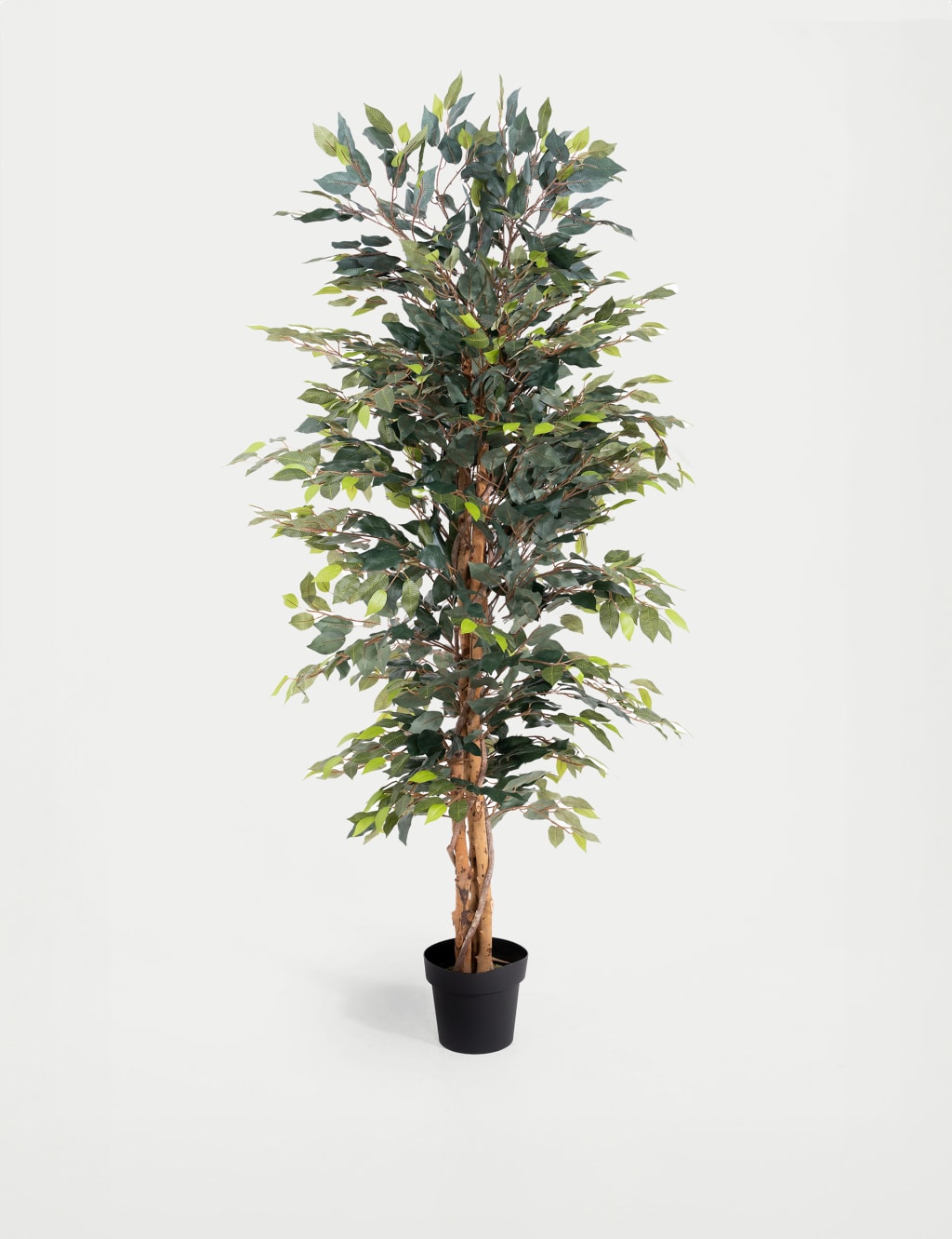 Blooming Artificial 5ft Artificial Ficus Tree in Pot Green